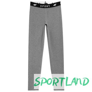 Spodnie 4F W H4L22-SPDF 351 średni szary melanż S