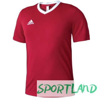 Koszulka adidas Entrada 22 M H61736 M (178cm)