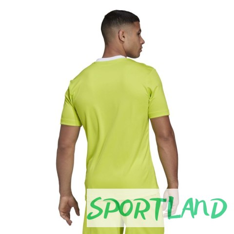 Koszulka adidas Entrada 22 M HC5077 XL (188cm)