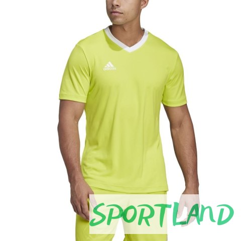Koszulka adidas Entrada 22 M HC5077 XL (188cm)