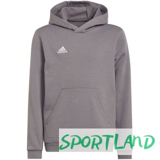 Bluza adidas Entrada 22 Hoody Jr H57515 140 cm