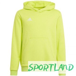 Bluza adidas Entrada 22 Hoody Jr HC5069 152cm