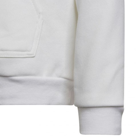 Bluza adidas Entrada 22 Hoody Jr HG6303 116 cm Bluza adidas Entrada 22 Hoody Jr HG6303 116 cm