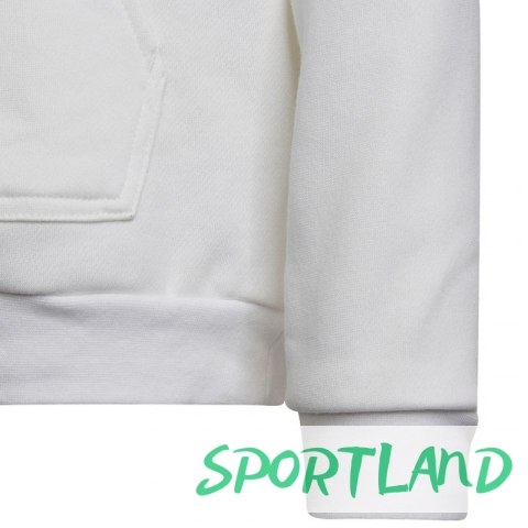 Bluza adidas Entrada 22 Hoody Jr HG6303 128 cm Bluza adidas Entrada 22 Hoody Jr HG6303 128 cm