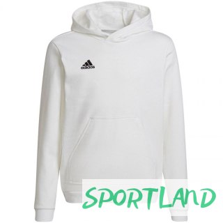 Bluza adidas Entrada 22 Hoody Jr HG6303 140 cm