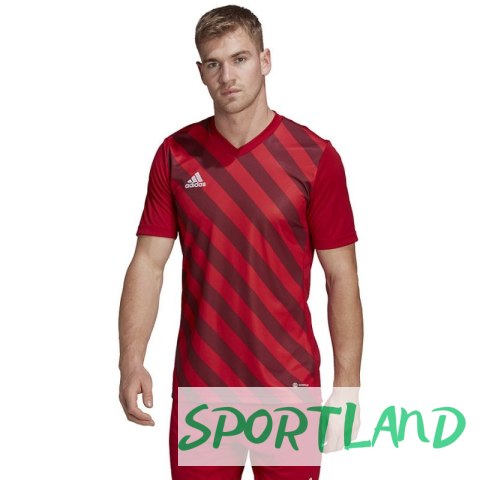 Koszulka adidas Entrada 22 Graphic Jersey M HB0572 S Koszulka adidas Entrada 22 Graphic Jersey M HB0572 S