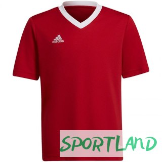Koszulka adidas Entrada 22 Jsy Jr H57496 116 cm