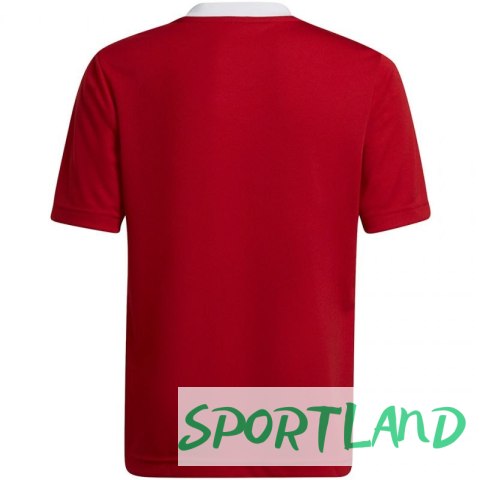 Koszulka adidas Entrada 22 Jsy Jr H57496 116 cm Koszulka adidas Entrada 22 Jsy Jr H57496 116 cm