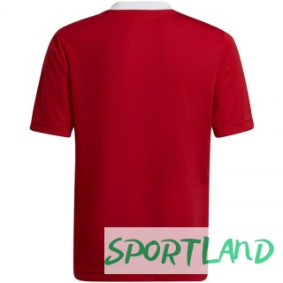 Koszulka adidas Entrada 22 Jsy Jr H57496 140 cm