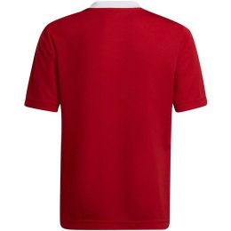 Koszulka adidas Entrada 22 Jsy Jr H57496 164 cm