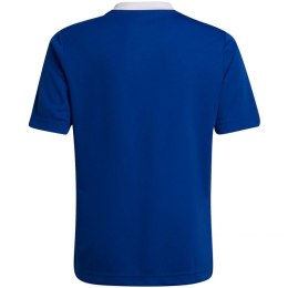Koszulka adidas Entrada 22 Jsy Jr HG3948 128 cm