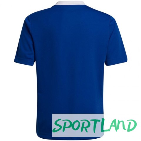 Koszulka adidas Entrada 22 Jsy Jr HG3948 152cm Koszulka adidas Entrada 22 Jsy Jr HG3948 152cm