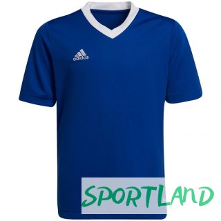 Koszulka adidas Entrada 22 Jsy Jr HG3948 164 cm