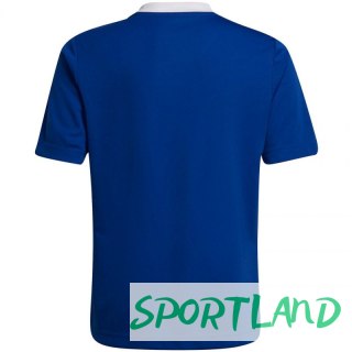 Koszulka adidas Entrada 22 Jsy Jr HG3948 164 cm