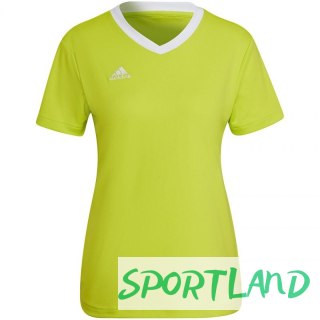 Koszulka adidas Entrada 22 Jsy W HC5080 S