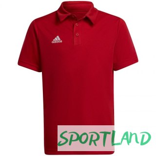 Koszulka adidas Entrada 22 Polo Jr H57495 152cm
