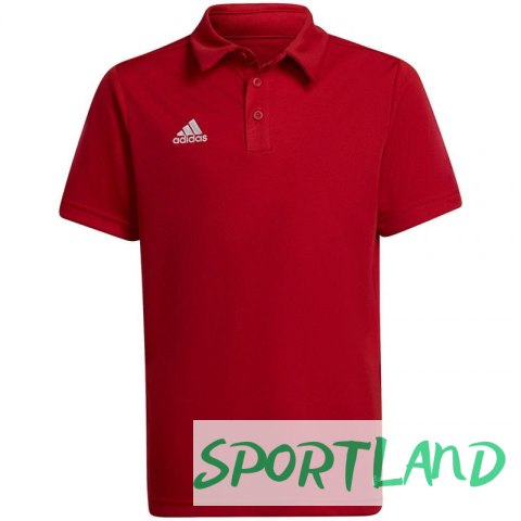 Koszulka adidas Entrada 22 Polo Jr H57495 164 cm