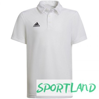 Koszulka adidas Entrada 22 Polo Jr HC5059 128 cm