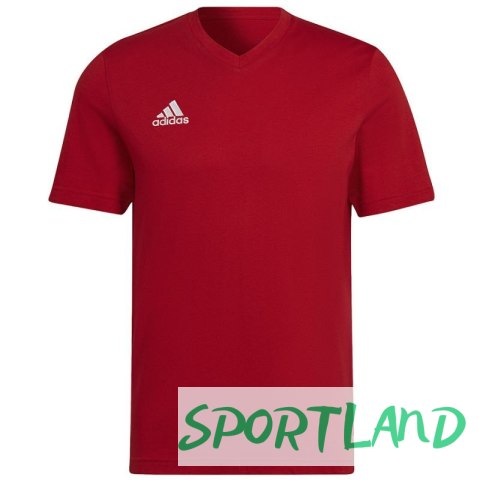 Koszulka adidas Entrada 22 Tee M HC0451 M Koszulka adidas Entrada 22 Tee M HC0451 M
