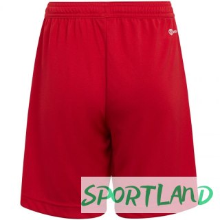 Spodenki adidas Entrada 22 Jr H57501 152cm