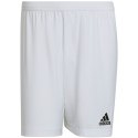 Spodenki adidas Entrada 22 M HG6295 2 XL