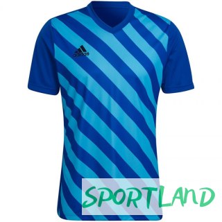 Koszulka adidas Entrada 22 Graphic Jersey M HF0116 XL