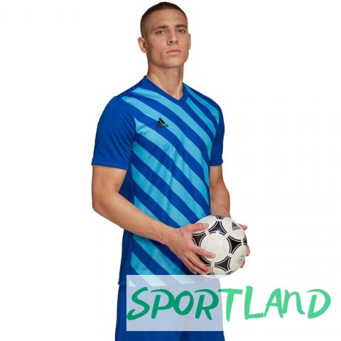 Koszulka adidas Entrada 22 Graphic Jersey M HF0116 S Koszulka adidas Entrada 22 Graphic Jersey M HF0116 S