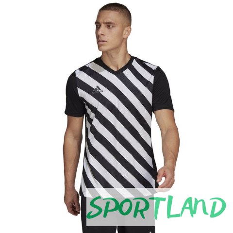 Koszulka adidas Entrada 22 Graphic Jersey M HF0126 XL Koszulka adidas Entrada 22 Graphic Jersey M HF0126 XL