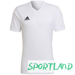 Koszulka adidas Entrada 22 Jersey M HC5071 M