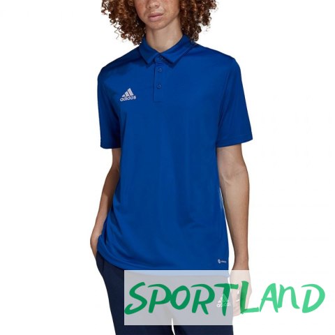 Koszulka adidas Entrada 22 Polo M HG6285 3XL Koszulka adidas Entrada 22 Polo M HG6285 3XL
