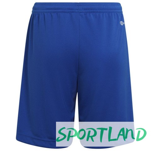 Spodenki adidas Entrada 22 Short Y Jr HG6291 116 cm Spodenki adidas Entrada 22 Short Y Jr HG6291 116 cm