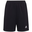 Spodenki adidas Entrada 22 Training Short Y Jr H57498 152 cm Spodenki adidas Entrada 22 Training Short Y Jr H57498 152 cm