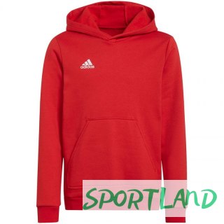 Bluza adidas Entrada 22 Hoody Jr H57566 176cm