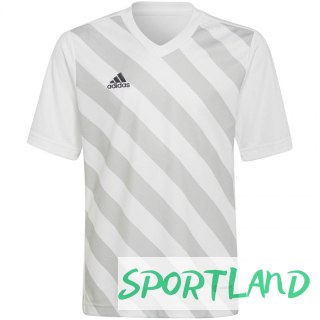 Koszulka adidas Entrada 22 Graphic Jersey Jr HF0120 128 cm