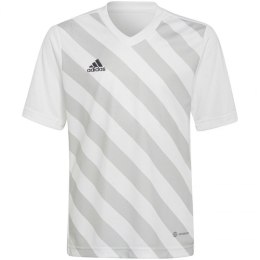 Koszulka adidas Entrada 22 Graphic Jersey Jr HF0120 140 cm