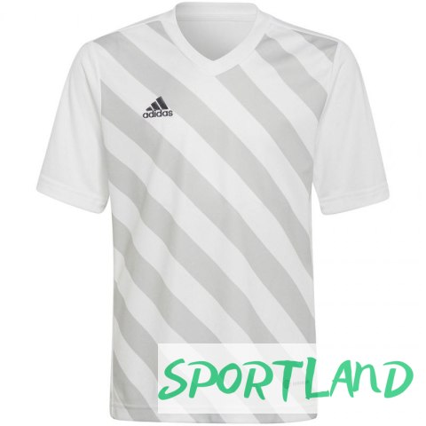 Koszulka adidas Entrada 22 Graphic Jersey Jr HF0120 140 cm Koszulka adidas Entrada 22 Graphic Jersey Jr HF0120 140 cm
