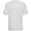 Koszulka adidas Entrada 22 Graphic Jersey Jr HF0120 140 cm