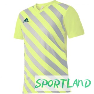 Koszulka adidas Entrada 22 Graphic Jersey M HF0118 M