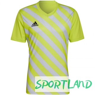 Koszulka adidas Entrada 22 Graphic Jersey M HF0118 M
