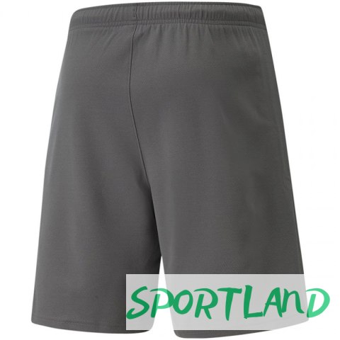Spodenki Puma teamRise Short M 704942 13 XL Spodenki Puma teamRise Short M 704942 13 XL