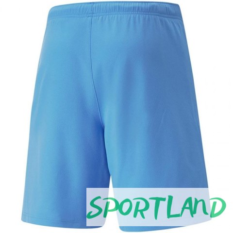 Spodenki Puma teamRise Short Team M 704942 18 M