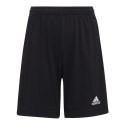 Spodenki adidas Entrada 22 Jr H57502 140