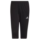 Spodnie adidas Entrada 22 3/4 Panty M HB0576 XXXL