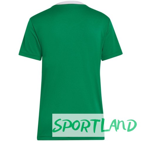 Koszulka adidas Entrada 22 Jersey W HI2124 M Koszulka adidas Entrada 22 Jersey W HI2124 M