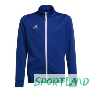 Bluza adidas Junior Entrada 22 Track Jr HG6288 152
