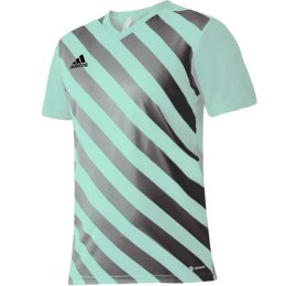 Koszulka adidas Entrada 22 Graphic Jersey M HF0119 XL
