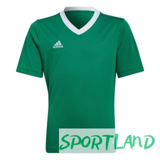 Koszulka adidas Entrada 22 Jersey Jr HI2126 140 cm