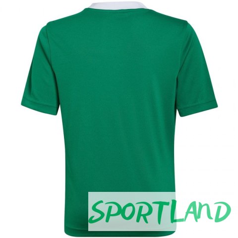 Koszulka adidas Entrada 22 Jersey Jr HI2126 164 cm Koszulka adidas Entrada 22 Jersey Jr HI2126 164 cm
