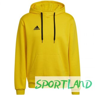 Bluza adidas Entrada 22 Hoody M HI2140 XL