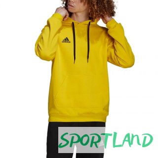 Bluza adidas Entrada 22 Hoody M HI2140 XL